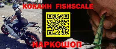 a pvp Новозыбков