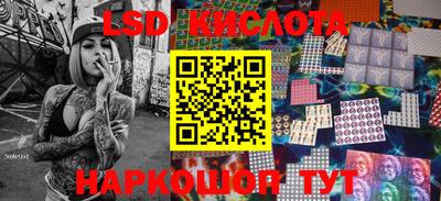 PSILOCYBIN Новокубанск