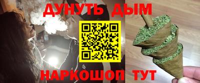 тгк Новодвинск