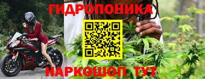 тгк Новодвинск