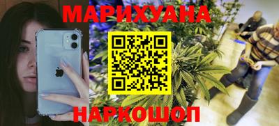 a pvp Новозыбков