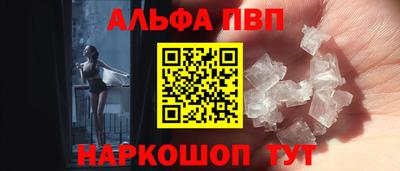 a pvp Новозыбков