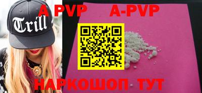 a pvp Новозыбков