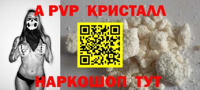 a pvp Новозыбков