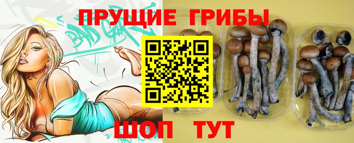 Галлюциногенные грибы Cubensis  Вход с VPN  Сердобск 